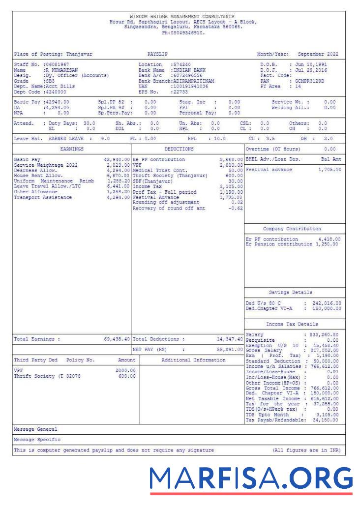 Downloadable Wisdom Bridge Management Consultants payslip template